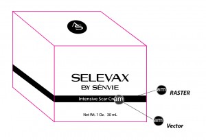 MyBoxPrinter.com Raster-Vs-Vector-300x204 Soap Boxes - Leading Boxes for Business Soap Boxes