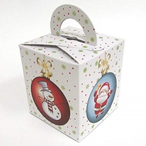 Design 2 for Cupcake Packaging Boxes