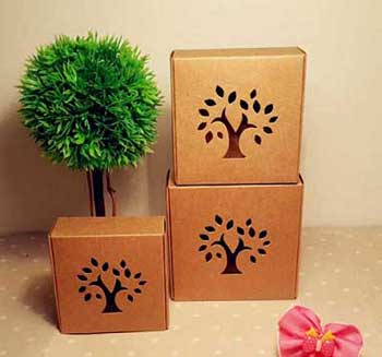 ECO Friendly Packaging Boxes